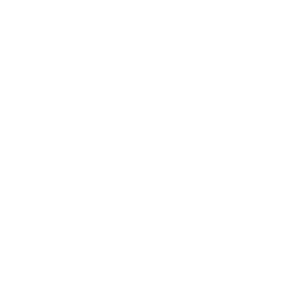 BHNV Pro Restoration