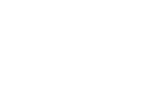 BHNV Pro Restoration