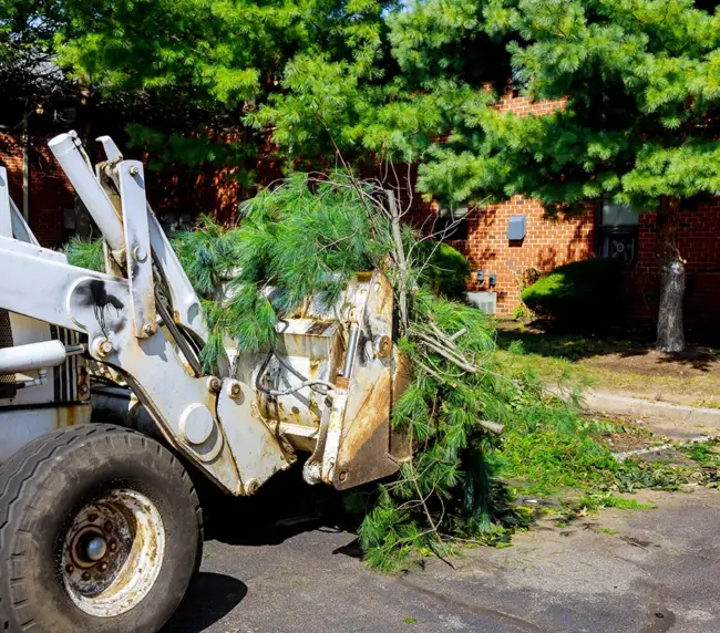 after-a-hurricane-a-tractor-is-used-to-remove